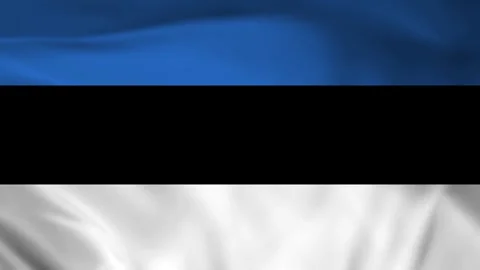 Estonia flag animation Stock Footage 245552398