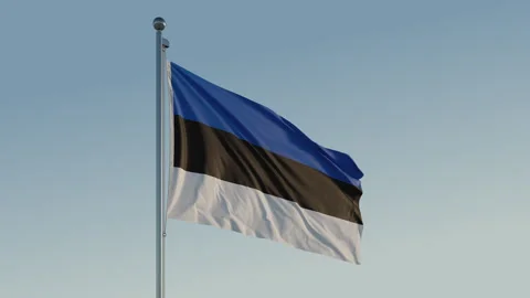 Estonia Flag: Cinematic Loopable Motion with Blue Sky in 4K ProRes 422 HQ Stock Footage 269068124
