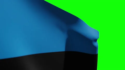 Estonia Flag Close Видео 134526309