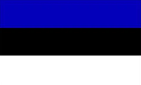 Estonia Flag Design Stock Illustration