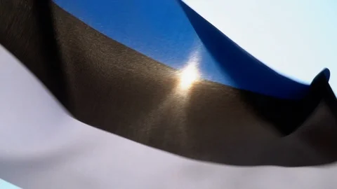 Estonia Flag Flapping Video stock 118964540