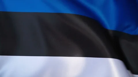 Estonia Flag Flapping Stock Footage 118966214