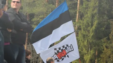 Estonia flag Stock Footage 12174307