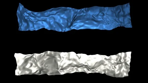 Estonia flag Stock Footage 110803230