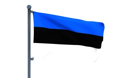 Estonia Flag Stock Footage 150196606