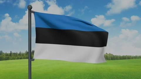 Estonia Flag Stock Footage 151862325