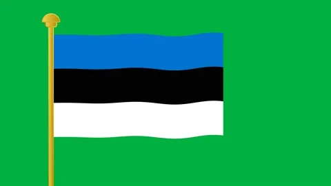 Estonia flag Stock Footage 195014113
