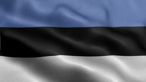 Estonia flag Front Stock Footage 318664740