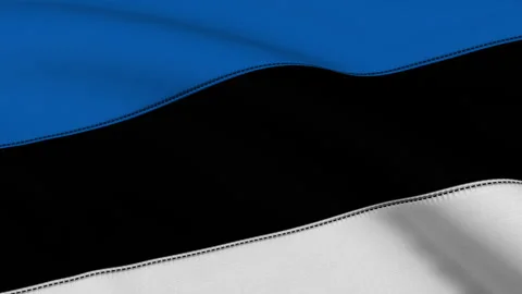 Estonia Flag Loop Stock Footage 241245412