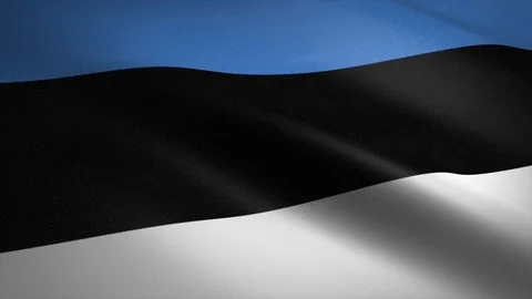 Estonia Flag Loop - waving flag with highly detailed fabric texture seamless Stock Footage 121634980