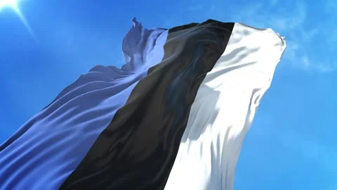 Estonia Flag Low Angle View Stock Footage 295689943