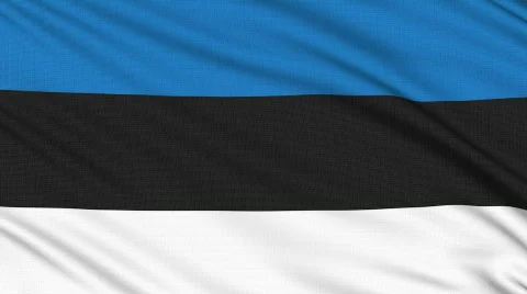 Estonia flag, with real structure of a fabric Stock Footage
