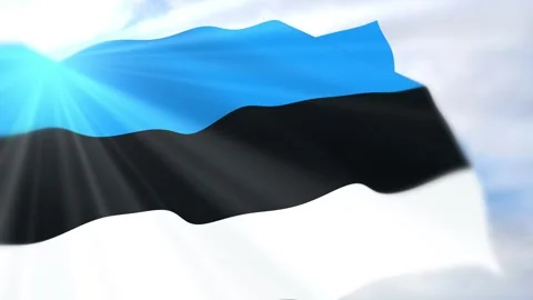 Estonia Flag Seamless Loop 4k 60fps on Sky Background Stock Footage 340624203