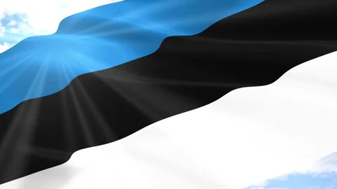 Estonia Flag Seamless Loop 4k 60fps on Sky Background Stock Footage 341559227