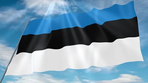 Estonia Flag Seamless Loop 4k 60fps on Sky Background Stock Footage 341756749