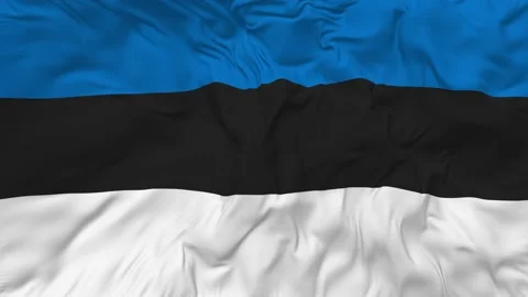 Estonia Flag Seamless Looping Background Waving Slow Motion Stock Footage 233818359