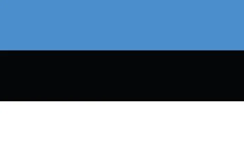 Estonia flag vector graphic. Rectangle Estonian flag illustration. Estonia co Stock Illustration