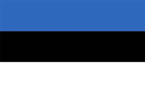 Estonia flag vector Stock Illustration