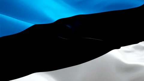 Estonia Flag Wave Loop waving in wind. Realistic Estonian Flag background. Stock Footage 106707393