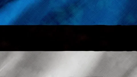 Estonia flag waving background with real fabric texture Stock Footage 291601166