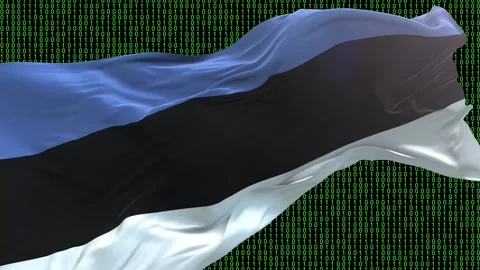 Estonia flag - Waving flag on matrix binary code background Stock Footage 321421128