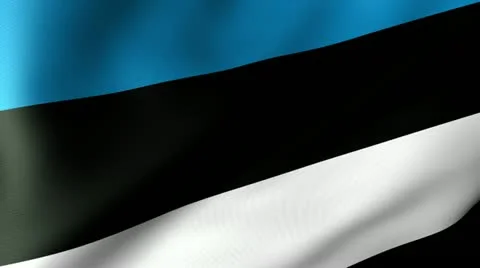 Estonia Flag Waving Video stock 12205049