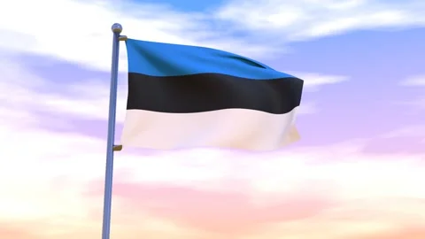Estonia Flag waving in the high wind Stock Footage 153870053
