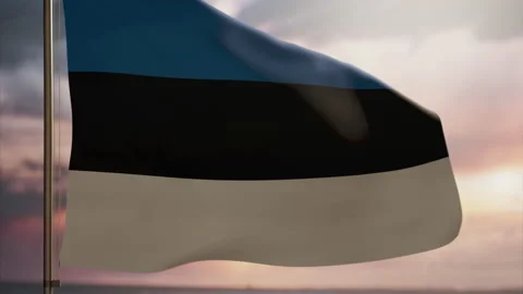 Estonia flag waving at sunset. It business or remote work. Stock Footage 161319853