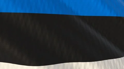 Estonia flag waving white background loop 스톡 동영상 342959437
