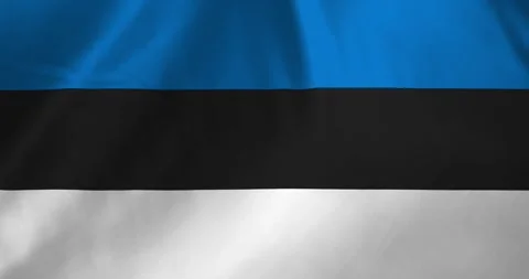 Estonia flag waving with the wind background loop video animation Vídeo Stock 327171909