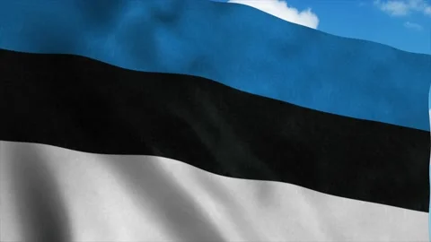 Estonia flag waving in the wind, blue sk... | Stock Video | Pond5