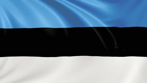 Estonia flag waving in the wind with high quality texture in 4K Vídeo Stock 130828986