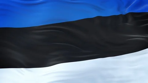 Estonia flag waving in the wind with highly detailed fabric texture 動画素材 122650824