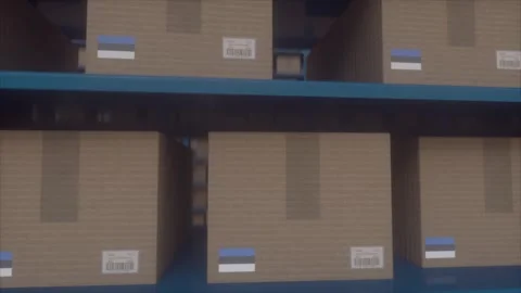 Estonia Labeled Cardboard Boxes Stored On Warehouse Shelves Stock Footage 337248595