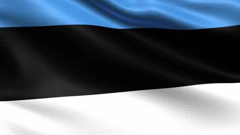 Estonia Looping Flag 4K Stock Footage 107875372