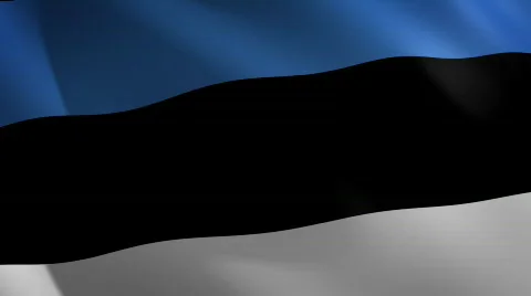 Estonia looping flag waving in the wind Stock Footage 800073