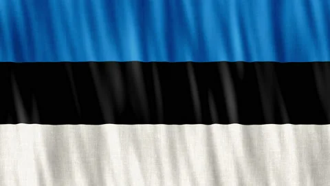 Estonia National Flag. Seamless loop animation closeup waving. Stock Footage 233113317