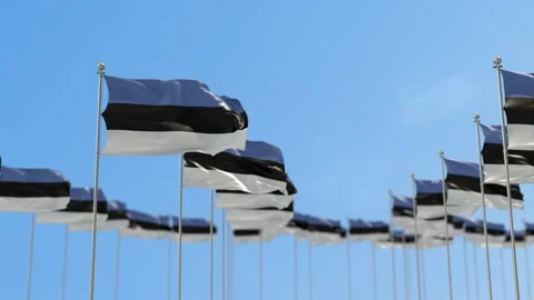 Estonia Row Of Flags 3D Animation Stock Footage 148693524