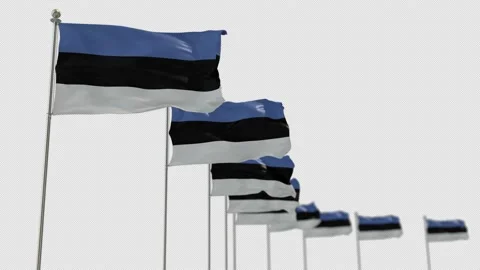 Estonia Row Of Flags Animation Include Alpha Channel  Video stock 163079974