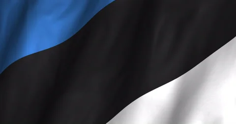 Estonia waving flag 4K Stock Footage 50548874