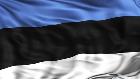 Estonia Waving Flag Background Stock Footage 204133276