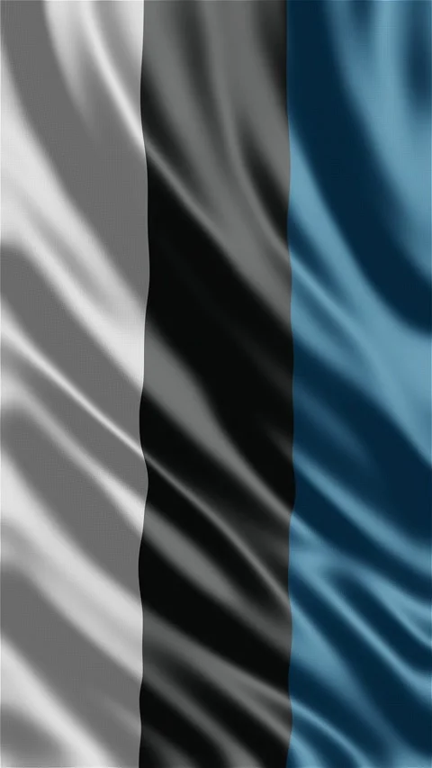 Estonia waving flag Stock Footage 288004232