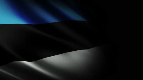 Estonia Waving Flag. Seamless loop animation closeup waving. Stock Footage 238616401