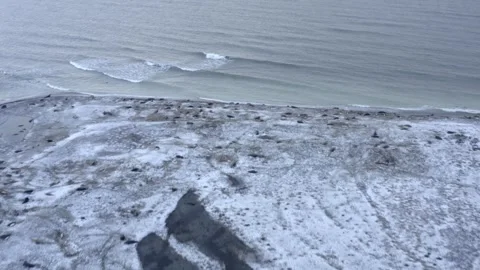  Estonia in winter - drone flight Stock Footage 257920443