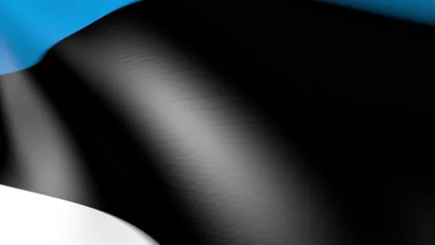 The Estonian flag flutters in the wind. 3d animation 库存影片 164122372