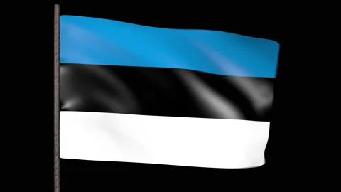 The Estonian flag flutters in the wind. 3d animation Stock Footage 164122498