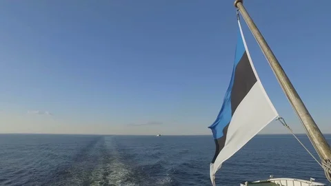 Estonian flag flutters in the wind Stock-Footage 82186694