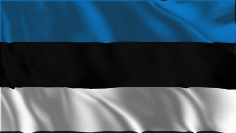 Estonian flag waving slowly Stock-Footage 337138699