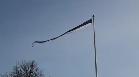 Estonian Flag on the wind Video stock 25243524