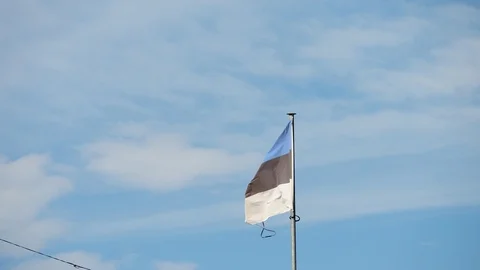 Estonian flag in the wind. Stock Footage 97151735